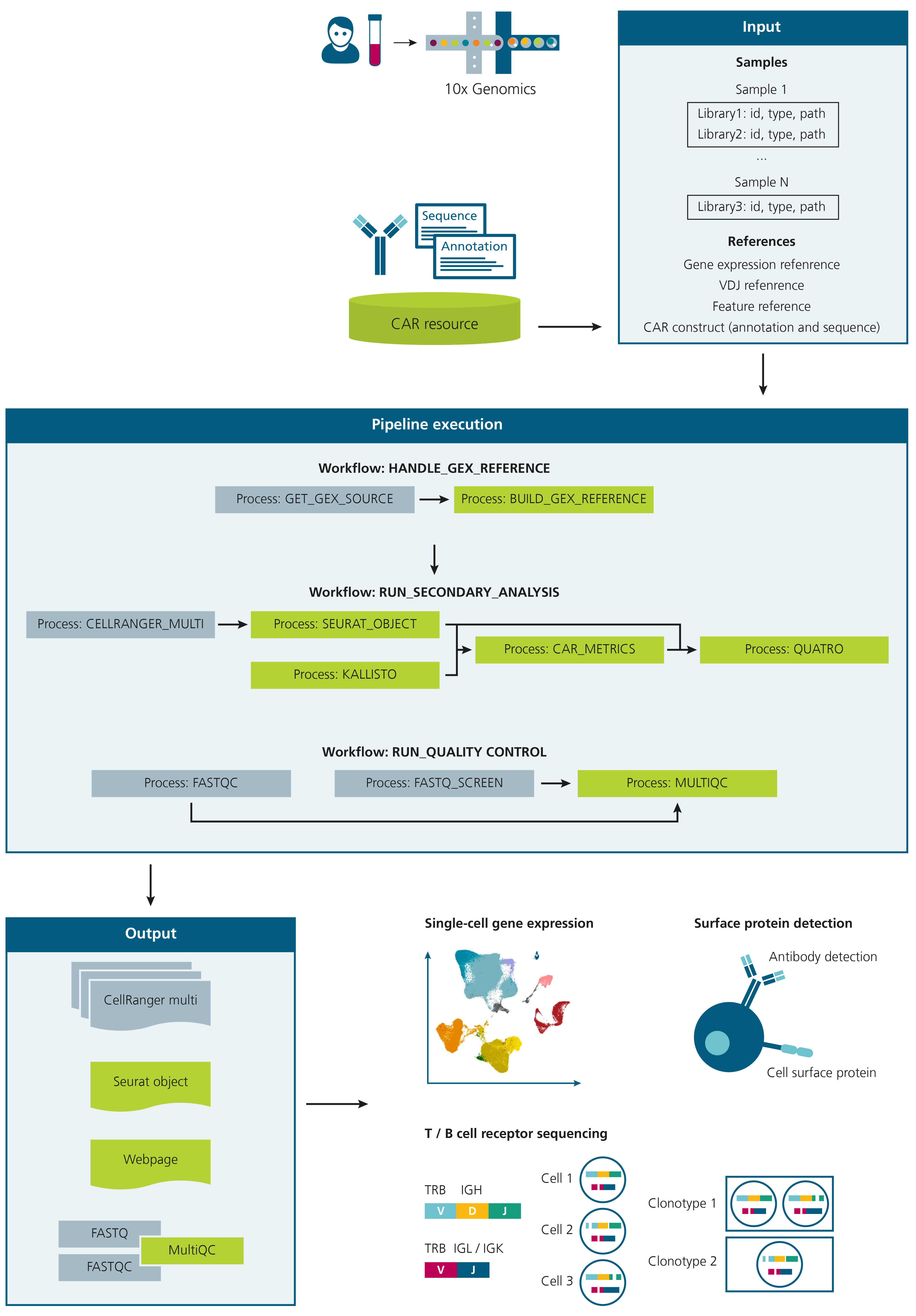 Abb_CAR_T_cell_profiling_V2.png