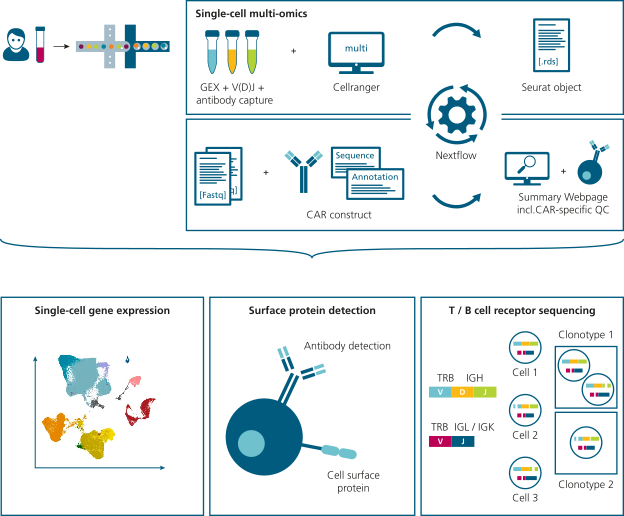 Abb_CAR_T_cell_profiling.png