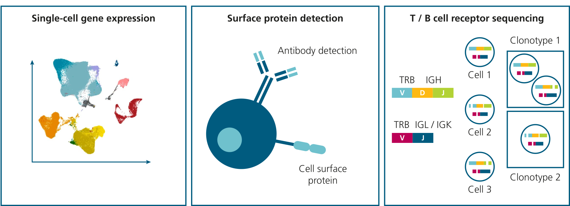 Single-cell multi-omics