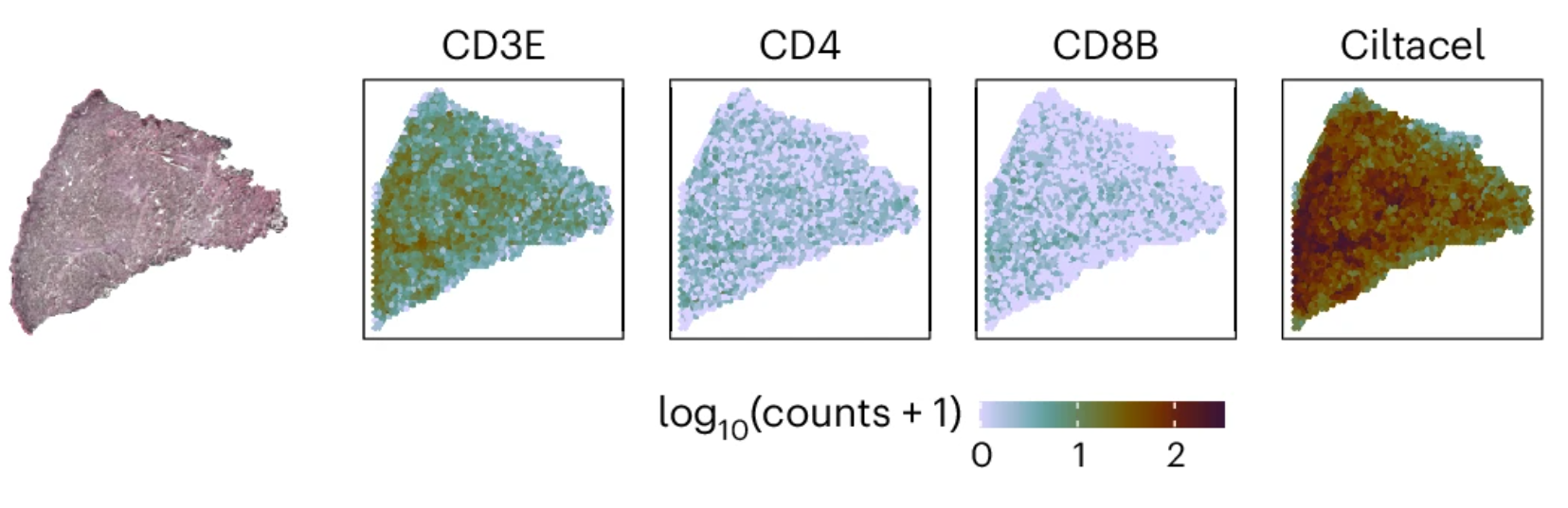 Single-cell multi-omics