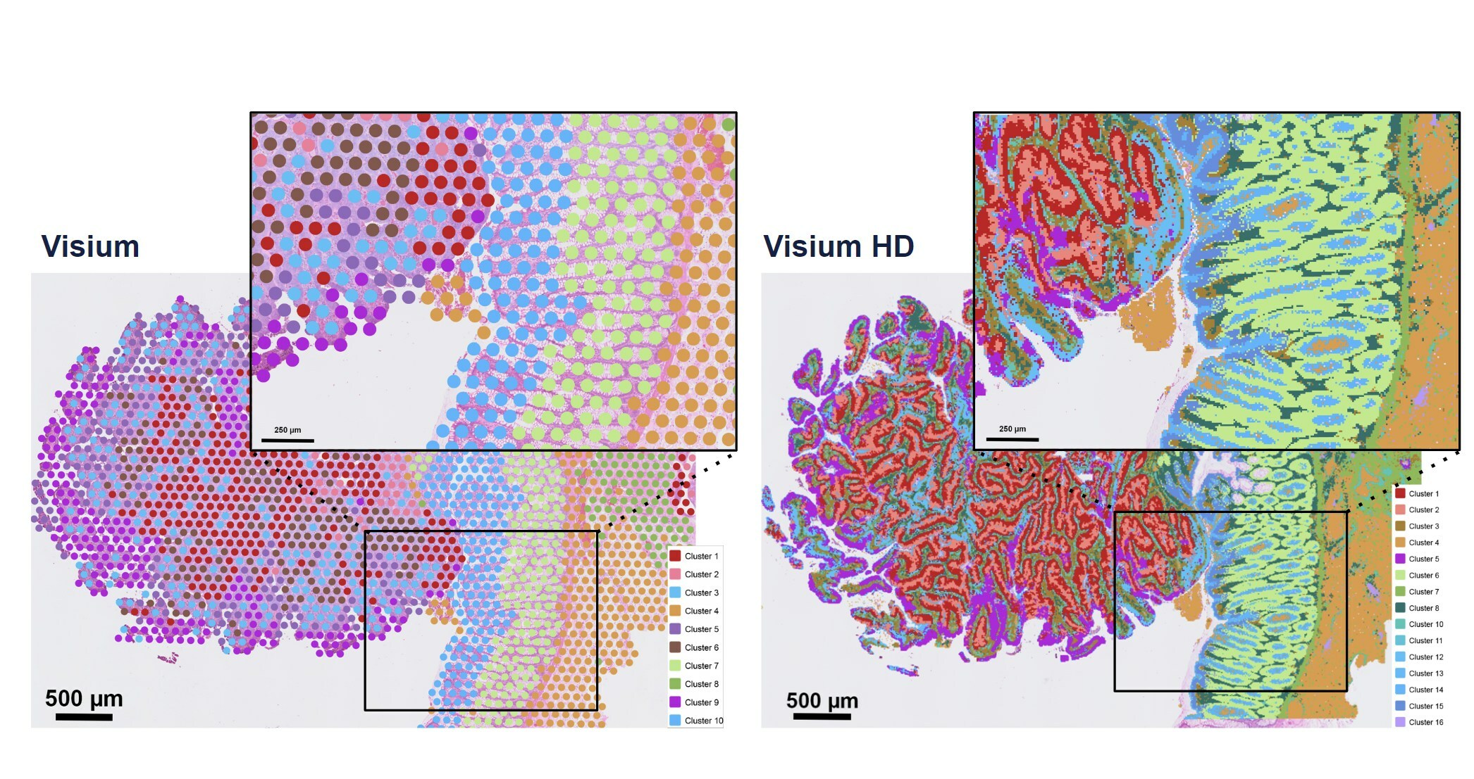 Single-cell multi-omics